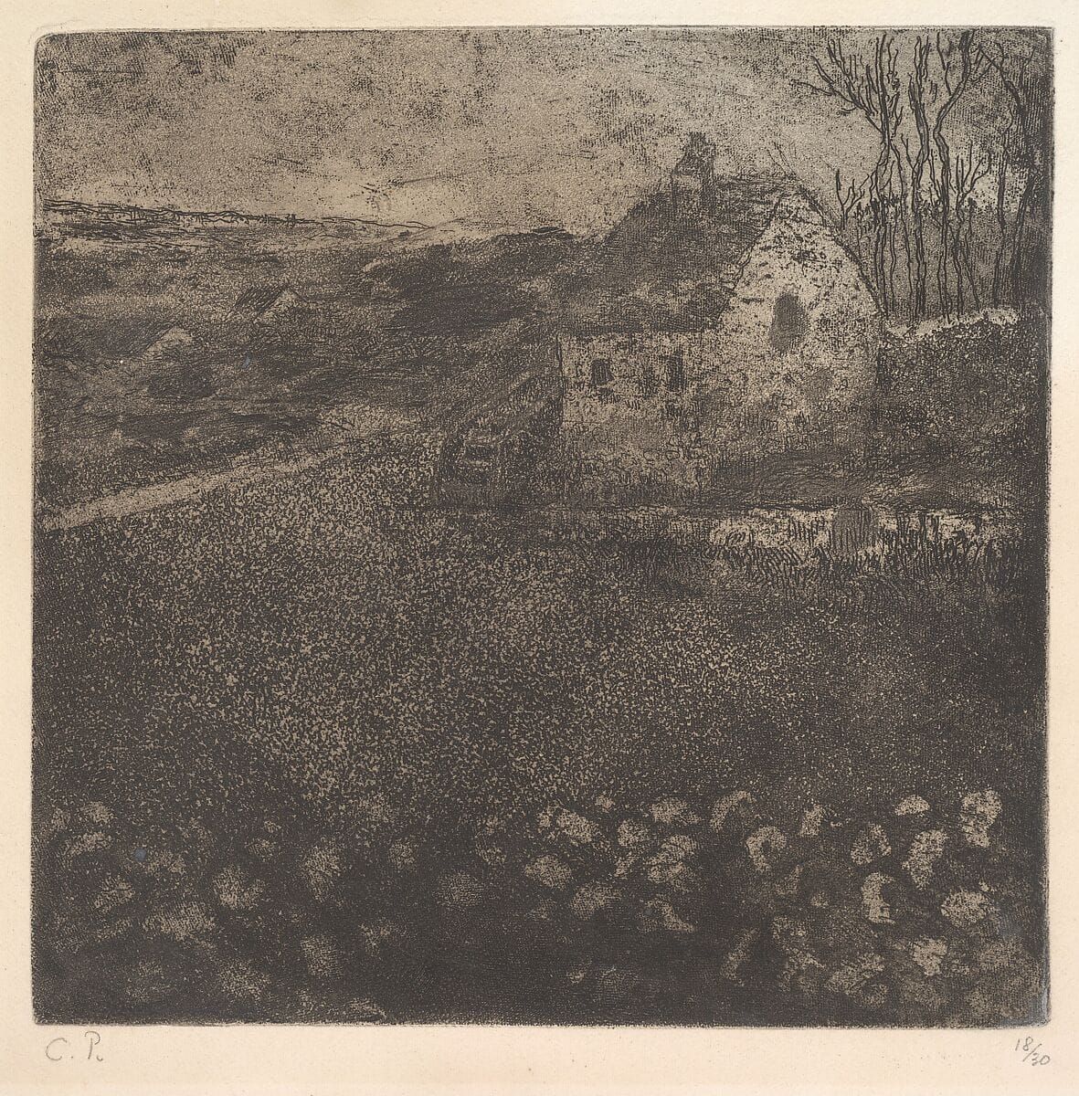 There is Some Weight Behind this Homesteading Trend