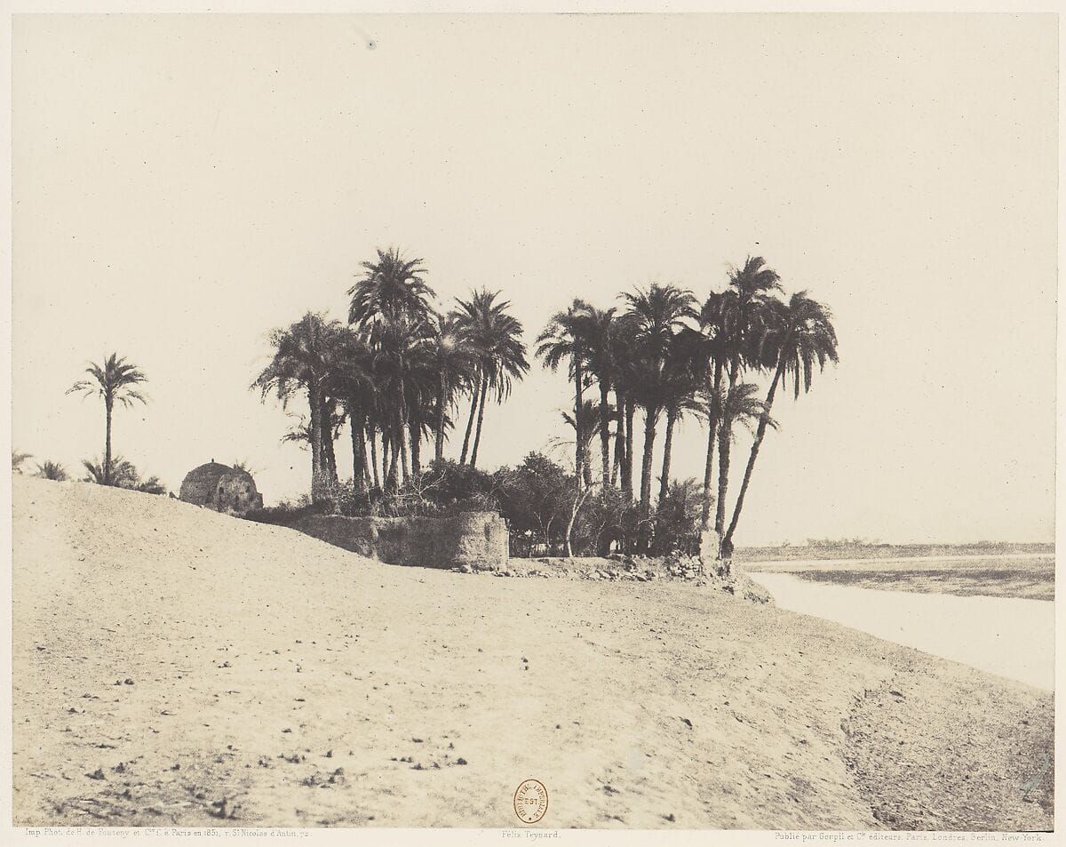 My Thoughts on Excellent Advice for Living