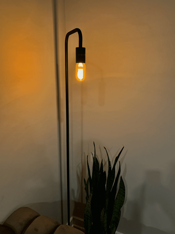 Investing in Lighting Did Great Things for My Mental and Physical Health