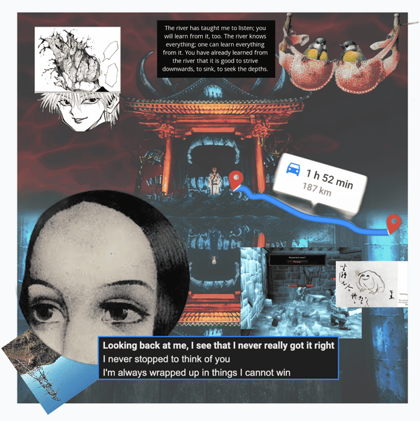 You have a pair of eyes