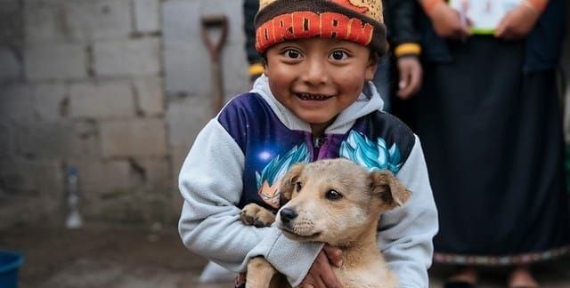 Eliminación de IVA a comida para mascotas tiene poco impacto