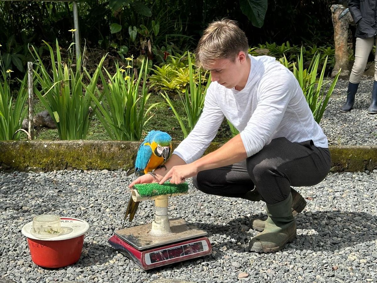 Los voluntarios extranjeros pagan para cuidar la fauna ecuatoriana