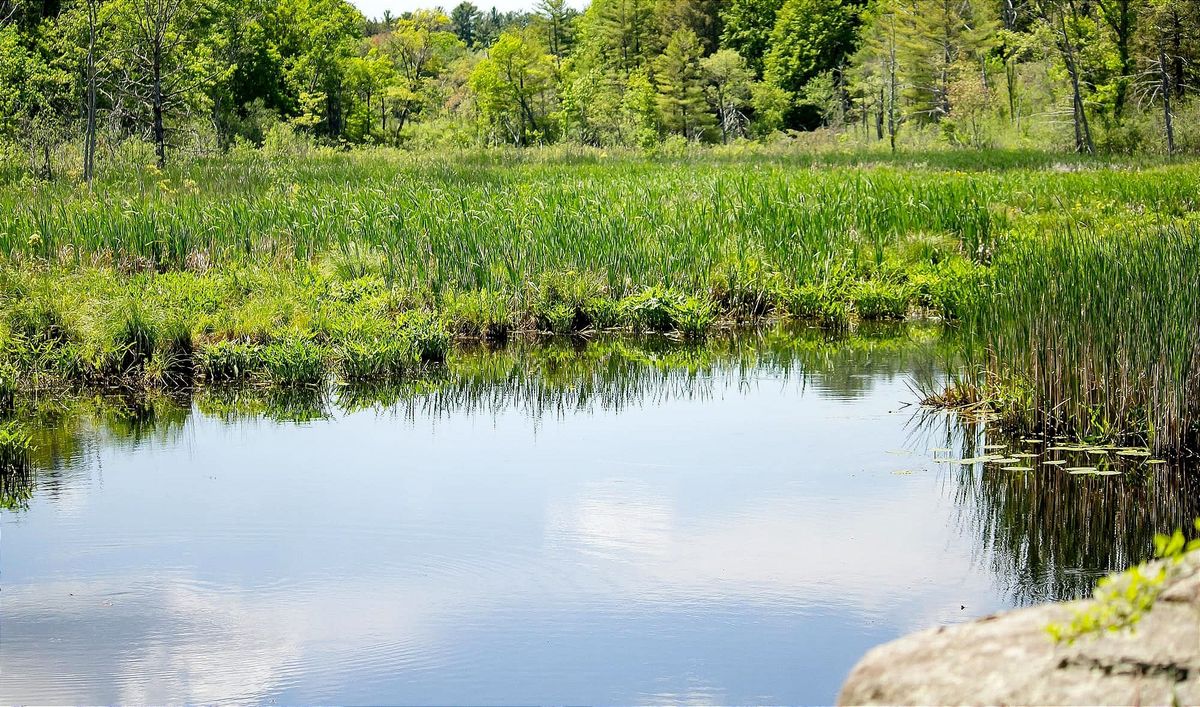 En Quito, solo 5% del agua residual es tratada antes de volver a los ríos
