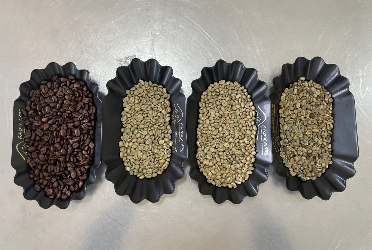 Café de origen y valor agregado, la apuesta productiva de Loja