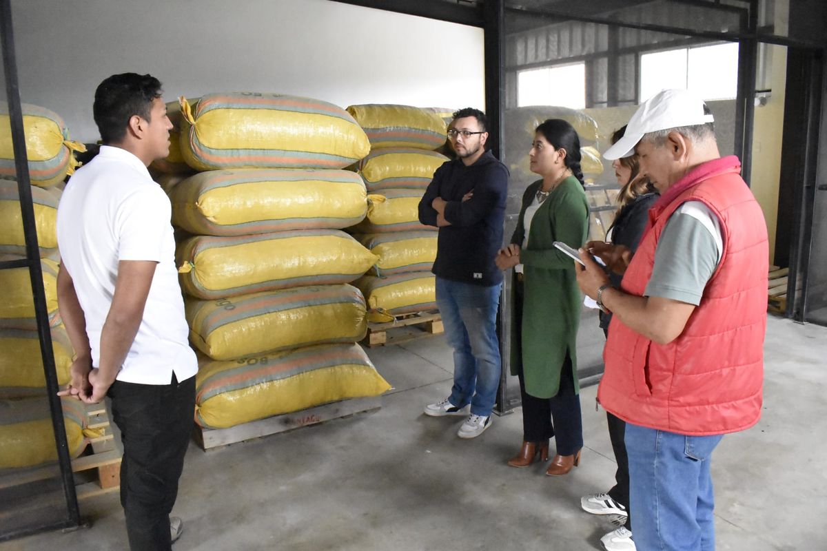 El guarango, una oportunidad de bionegocio en el bosque seco andino