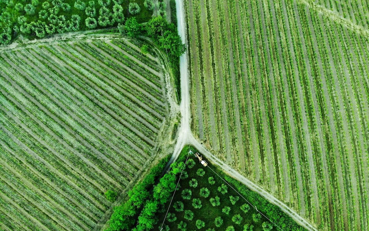 Compensación para agricultura sostenible por capturar carbono