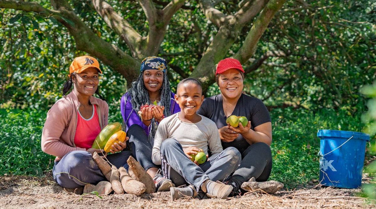 Deforestación, hasta 55% menor en tierras de afrodescendientes
