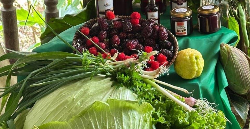 La agricultura regenerativa, un cambio inevitable de paradigma