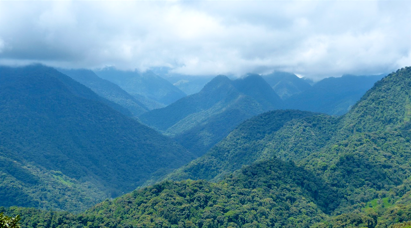 'Ríos voladores' amazónicos, curiosos e imprescindibles