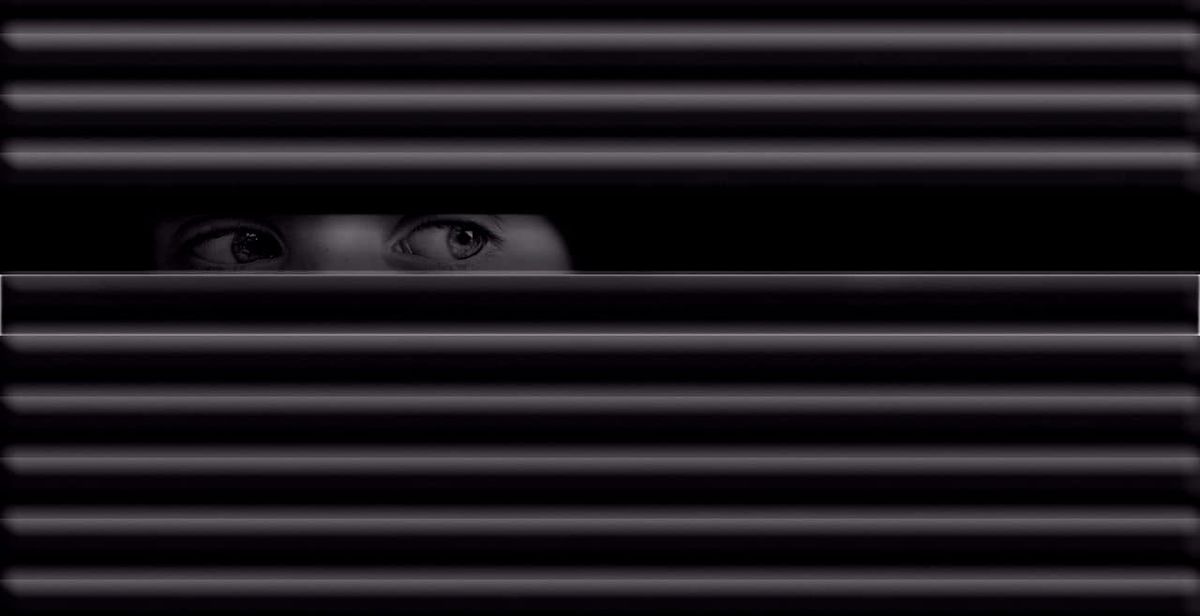 Cohesión social, debilitada por desconfianza en la democracia