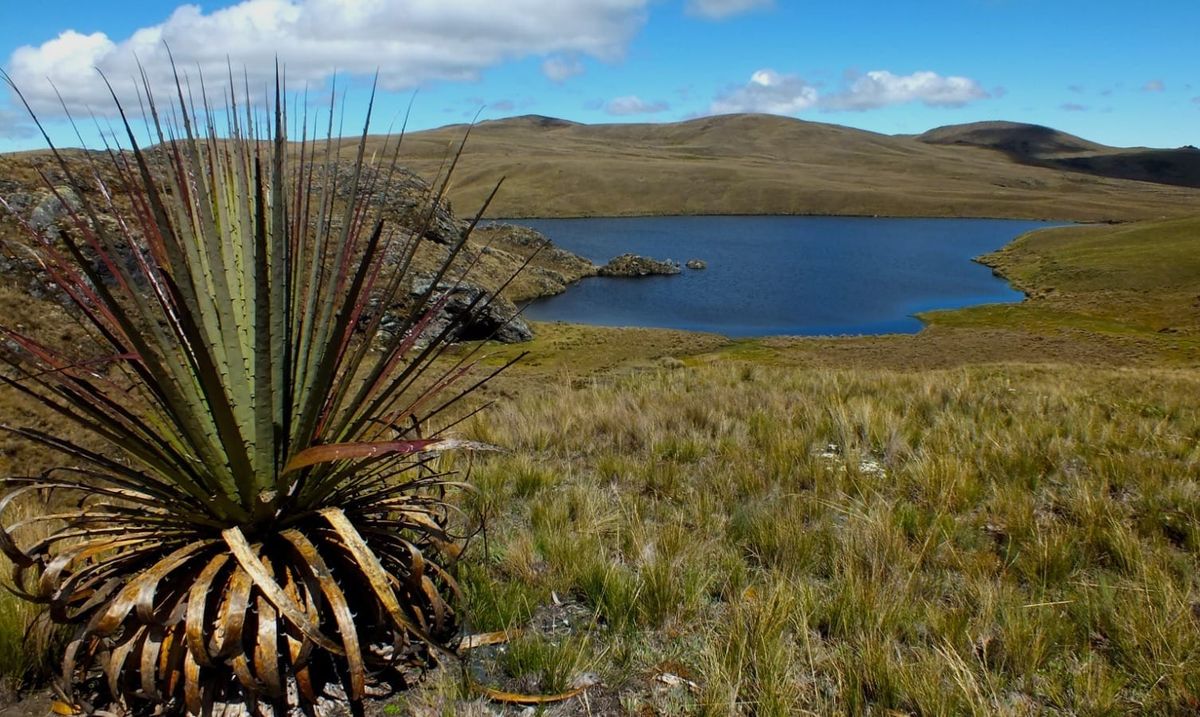 Loma Larga pierde su licencia ambiental; la empresa minera responde