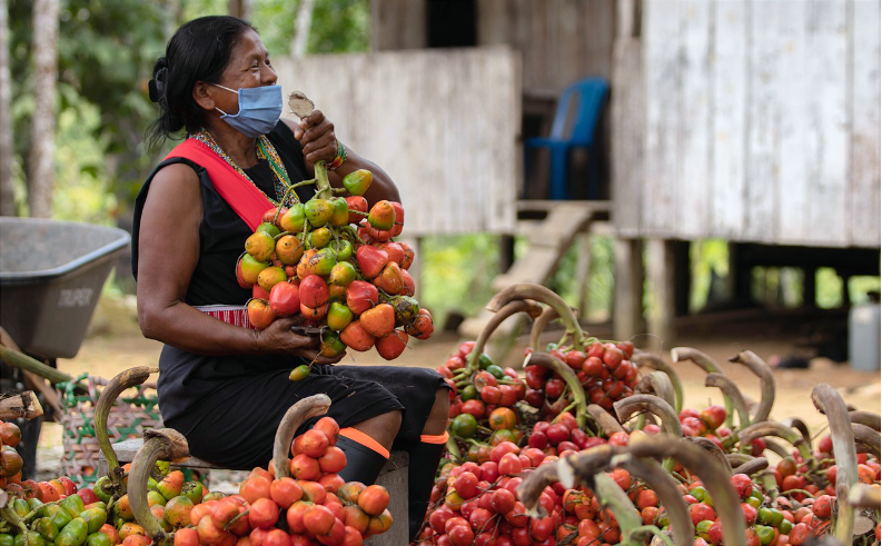 El segundo canje de deuda externa beneficiará a la Amazonía