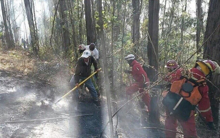 Ecuador: 63% menos de  incendios forestales entre 2024 y 2025