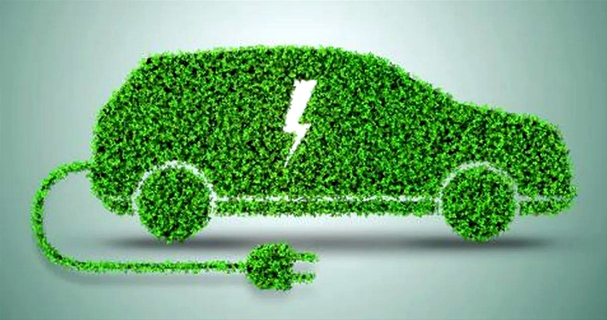 Distorsión sobre híbridos crea perjuicios económicos y ambientales