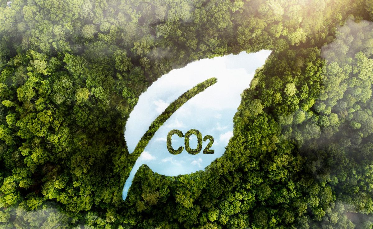 Reformas al Código del Ambiente reactivan el debate sobre mercados de carbono