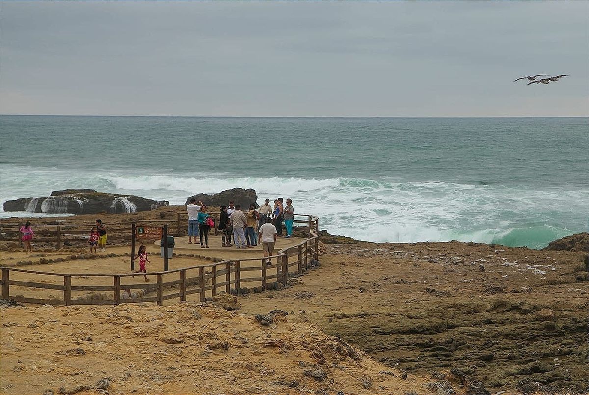 Ley de olas prioriza la biodiversidad sobre la energía marina