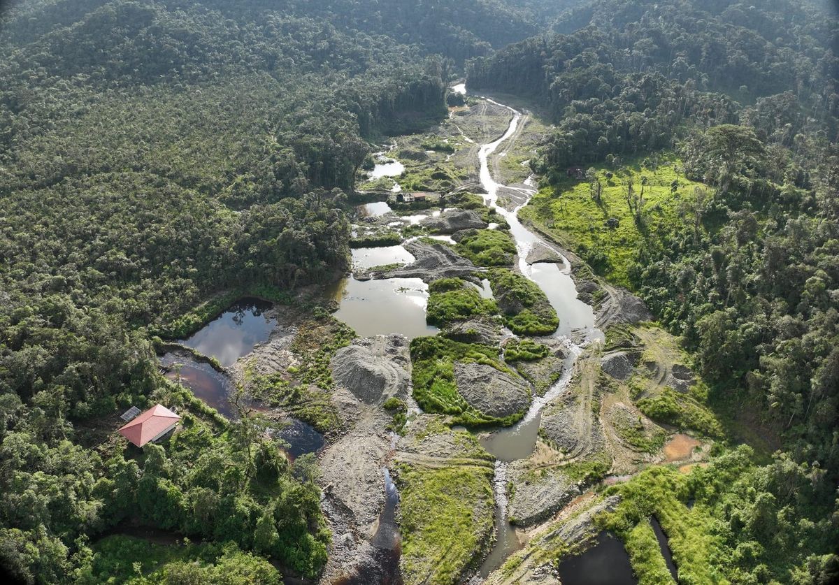 Minería presiona ecosistemas estratégicos del sur amazónico