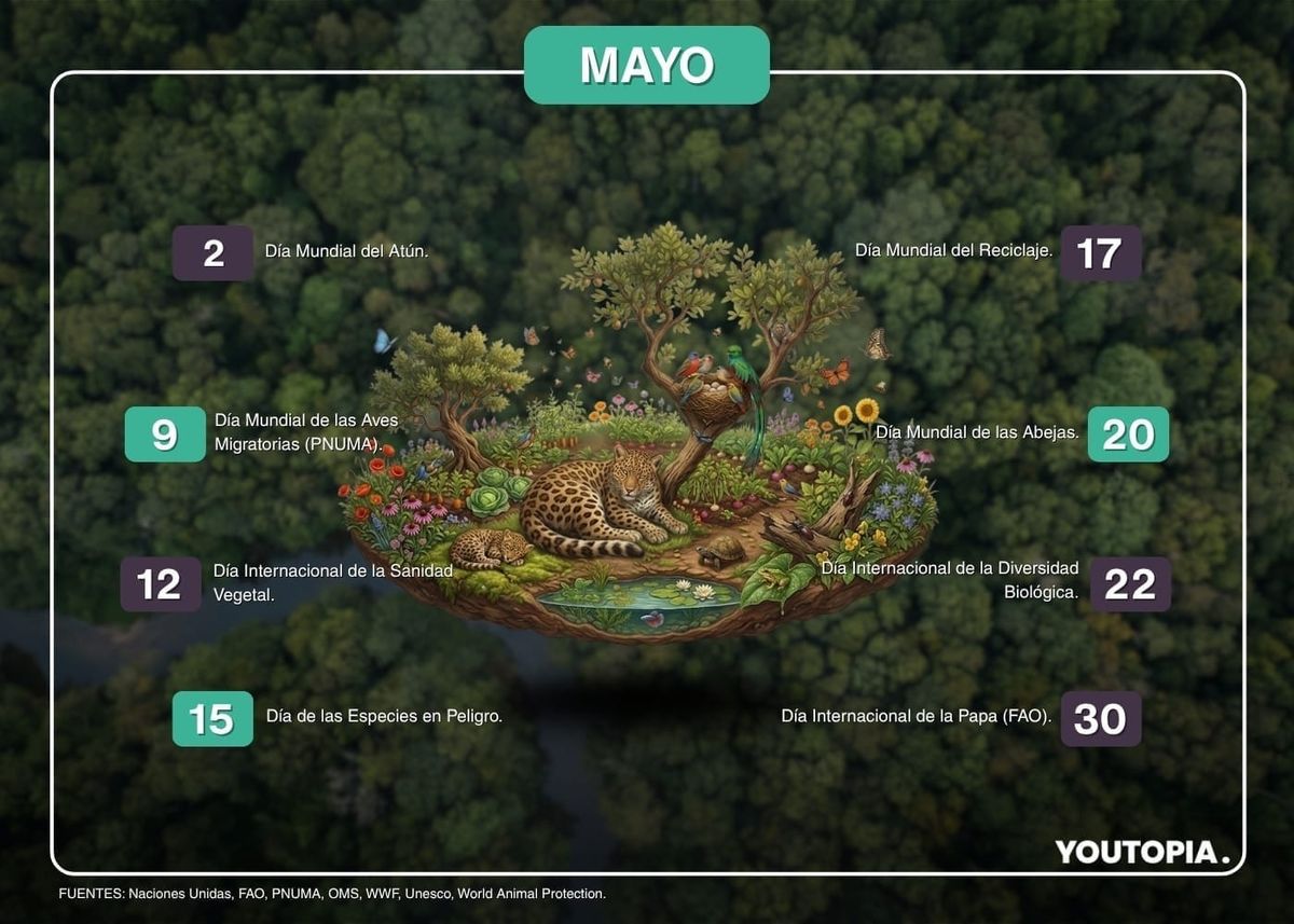 Calendario ambiental de mayo 2026 para Ecuador y el mundo