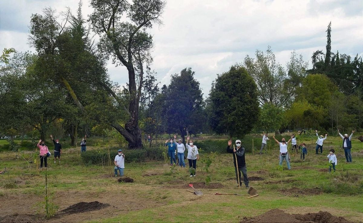 El bosquete del Bicentenario, en  la Guía de 'Parques de Bolsillo'