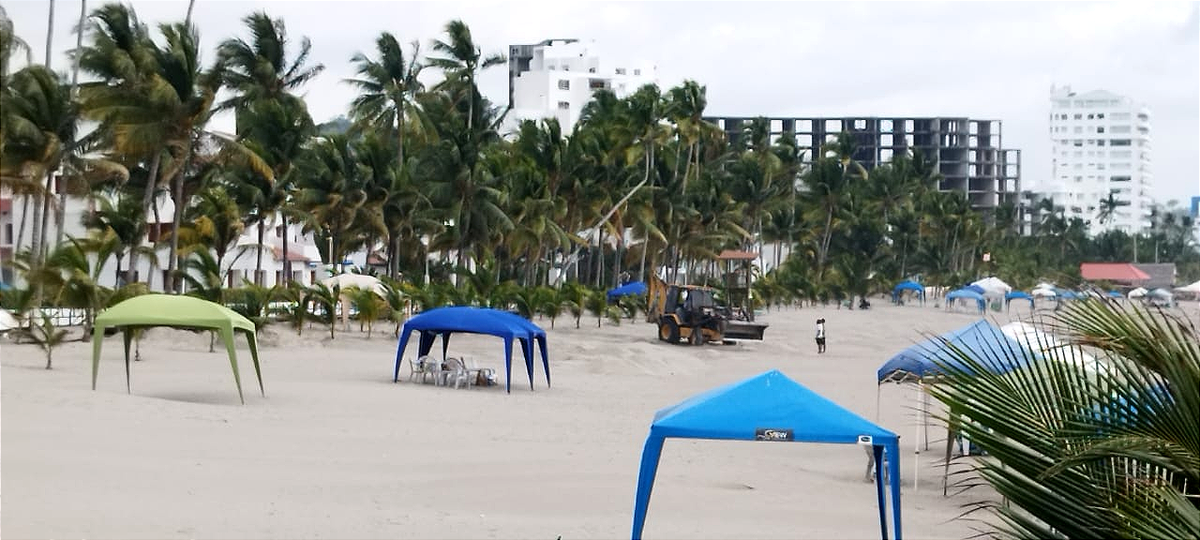 Un SOS desde Same para salvar nidos de tortugas marinas golfinas