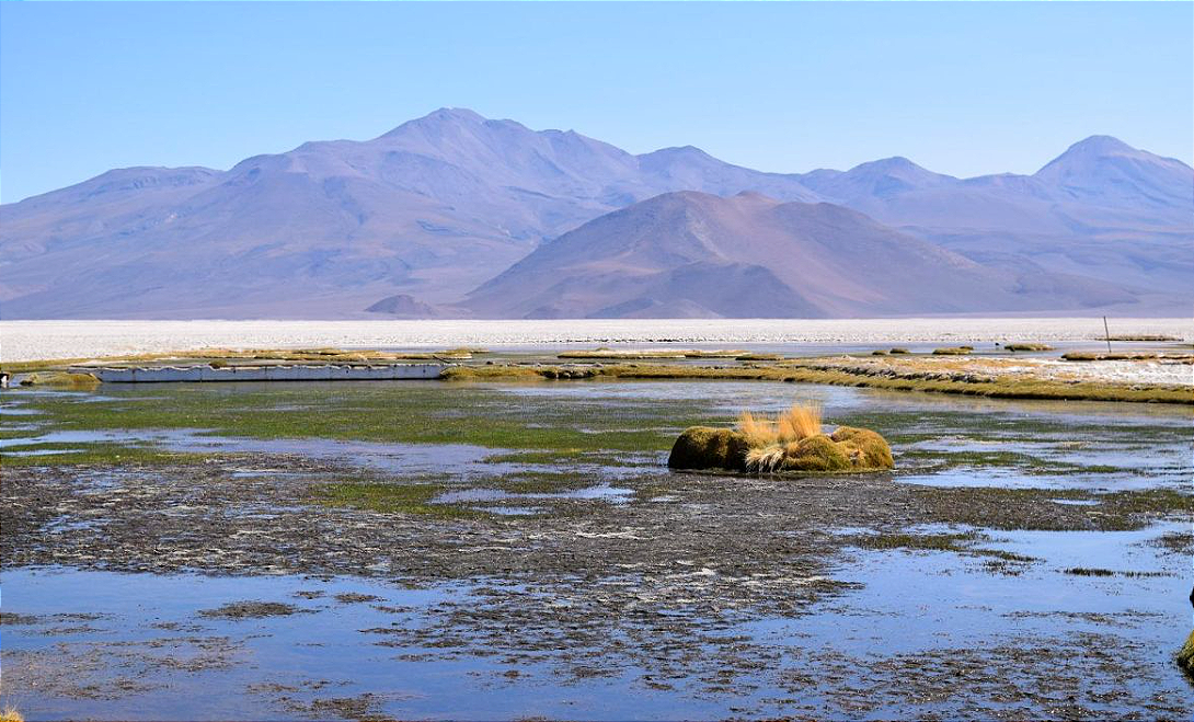 Ciencia e industria se enfrentan en Chile por el reciclaje del litio