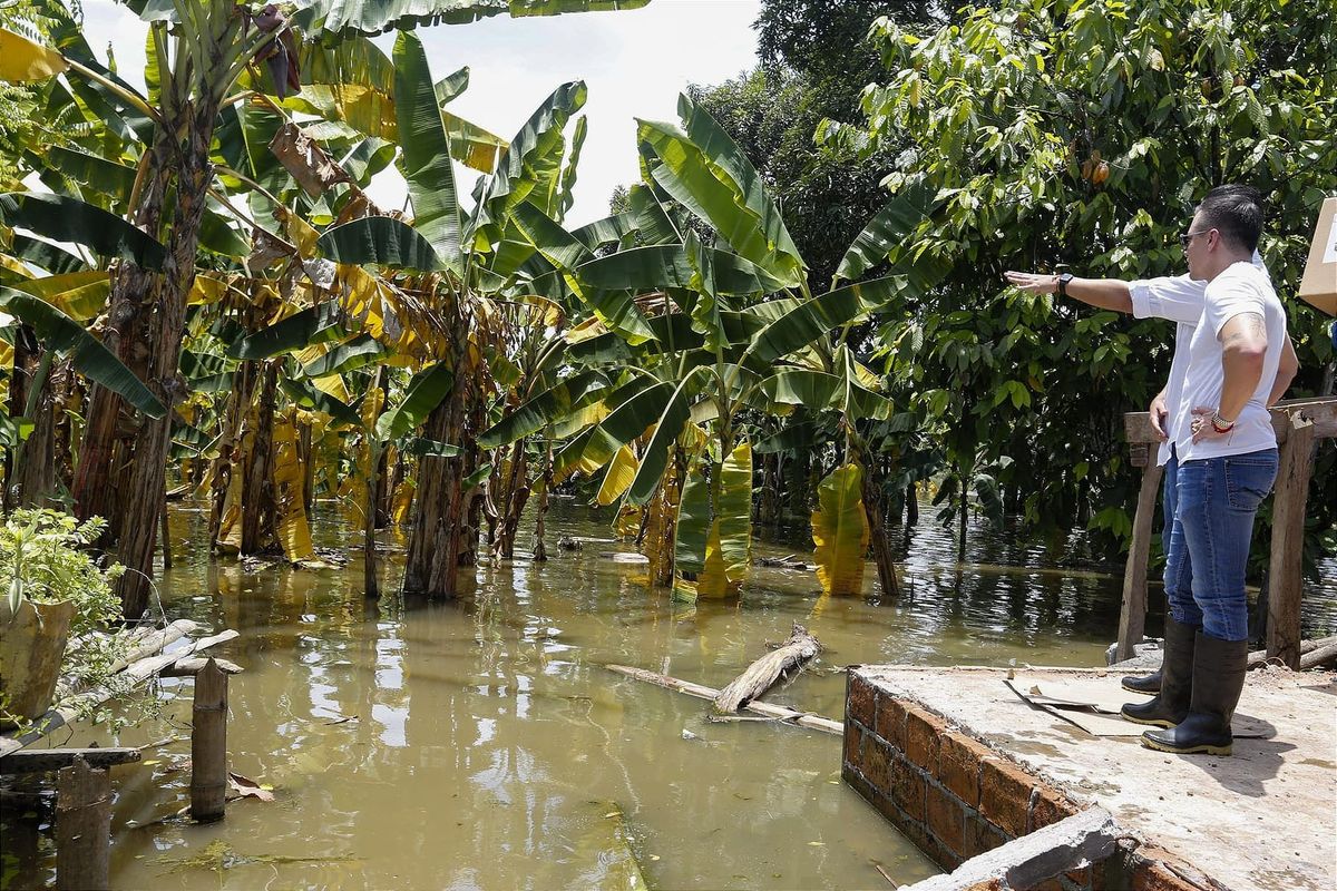 El Niño entra en fase activa y el agro alista medidas de prevención