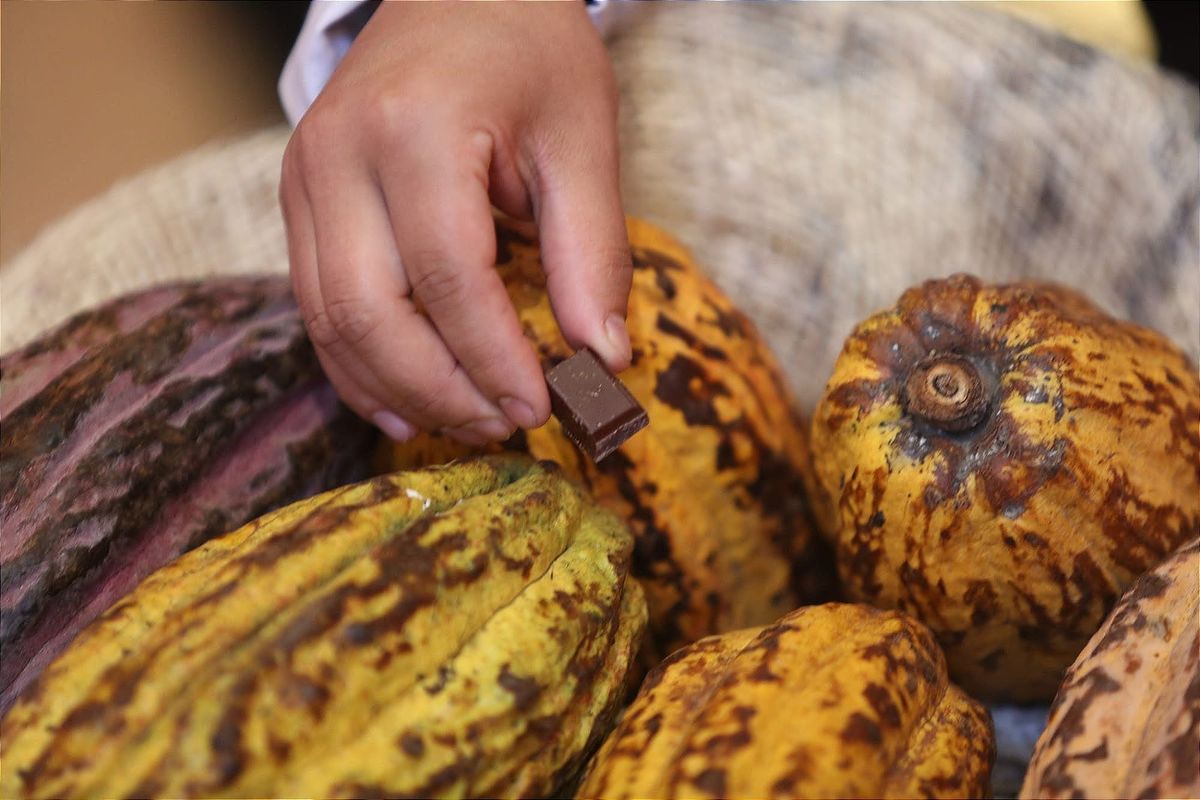 Comercio justo en Ecuador crece y estrena estrategia hasta 2035