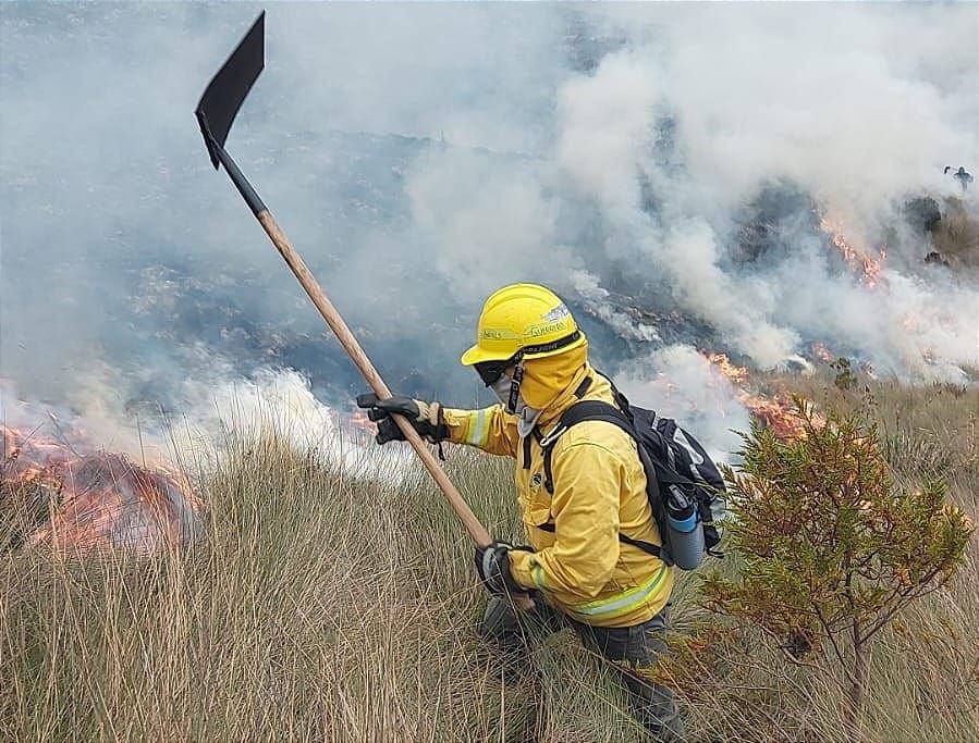 Ecuador perdió 202.685 hectáreas por incendios en 12 años