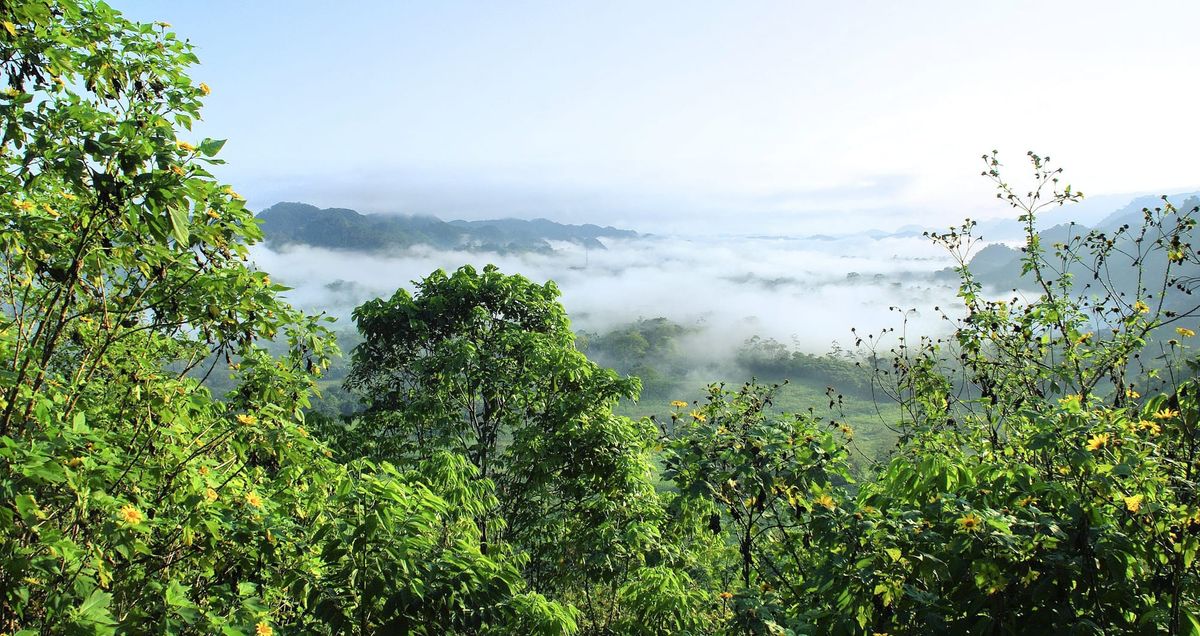TedxAmazônia, por primera vez en Ecuador, tendrá 32 ponentes