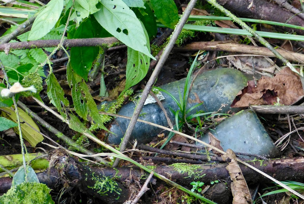 El agua del río Puyo supera 24 veces los límites para ser usada