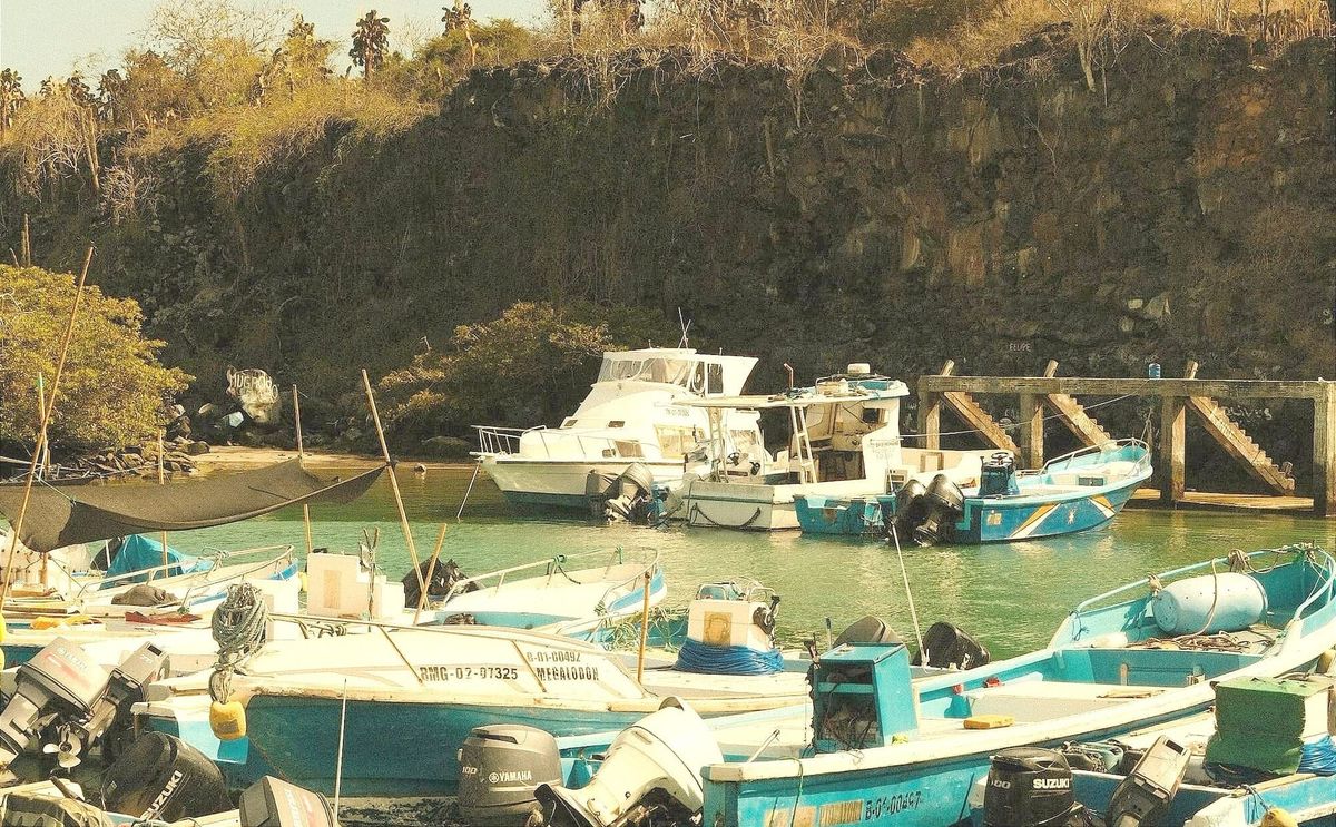 Galápagos endurece controles para los turistas y operadores