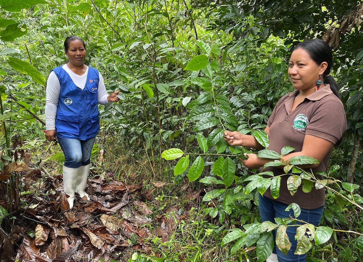 Ecuador amplía a 40 su lista de productos agroexportables