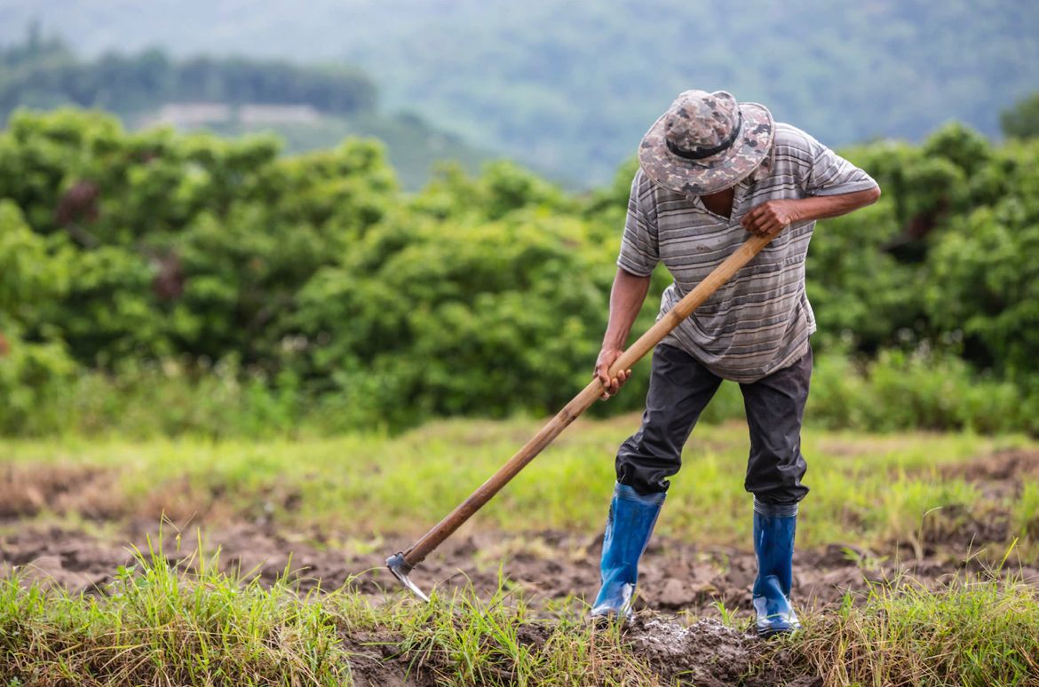 Cómo acceder a financiamiento verde para pequeños negocios con enfoques sostenibles