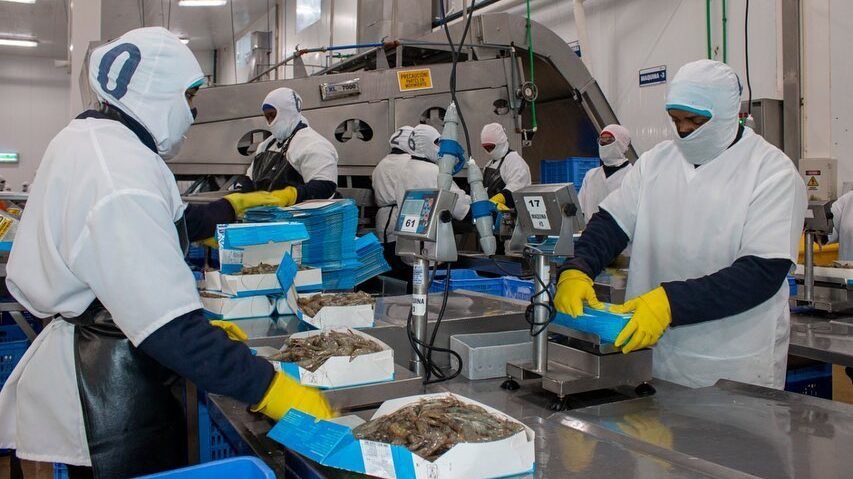 Los exportadores ecuatorianos le apuestan al Pacto Verde Europeo tras la pandemia