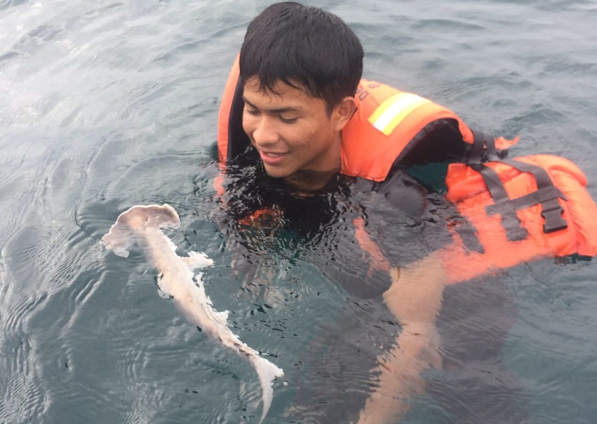 Pescadores artesanales y la comunidad de Puerto Cabuyal 'reviven' a los tiburones 