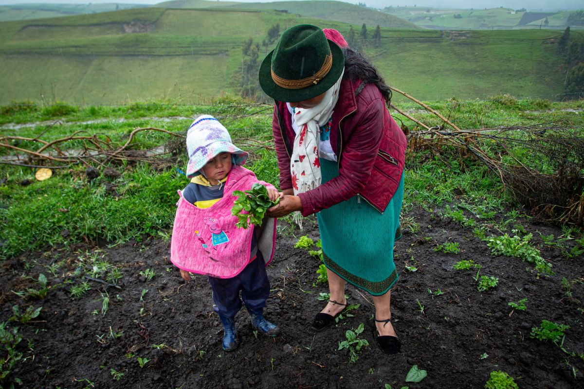 UNICEF: Desnutrición Infantil