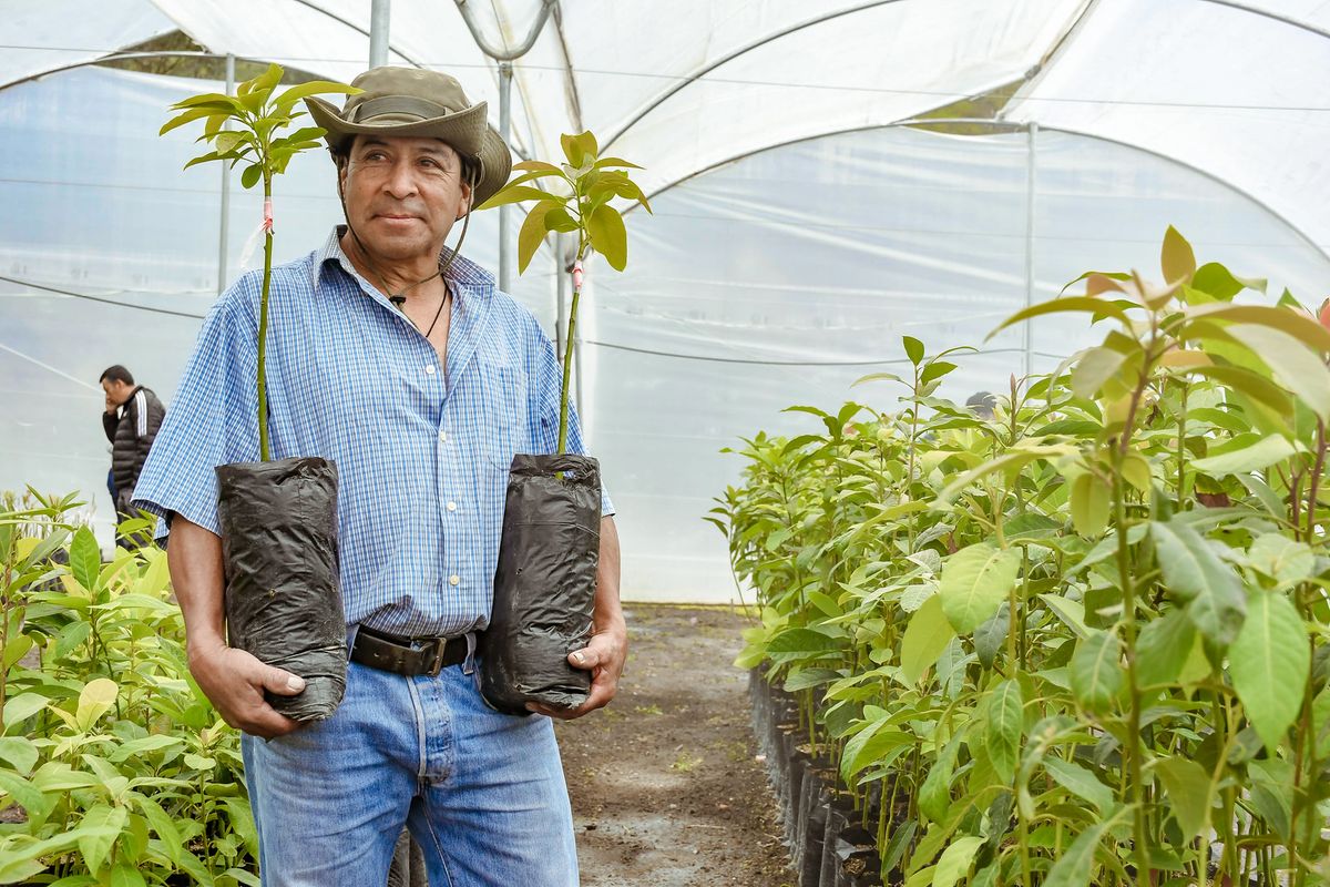 Proyecto fortalecimiento productores FIEDS