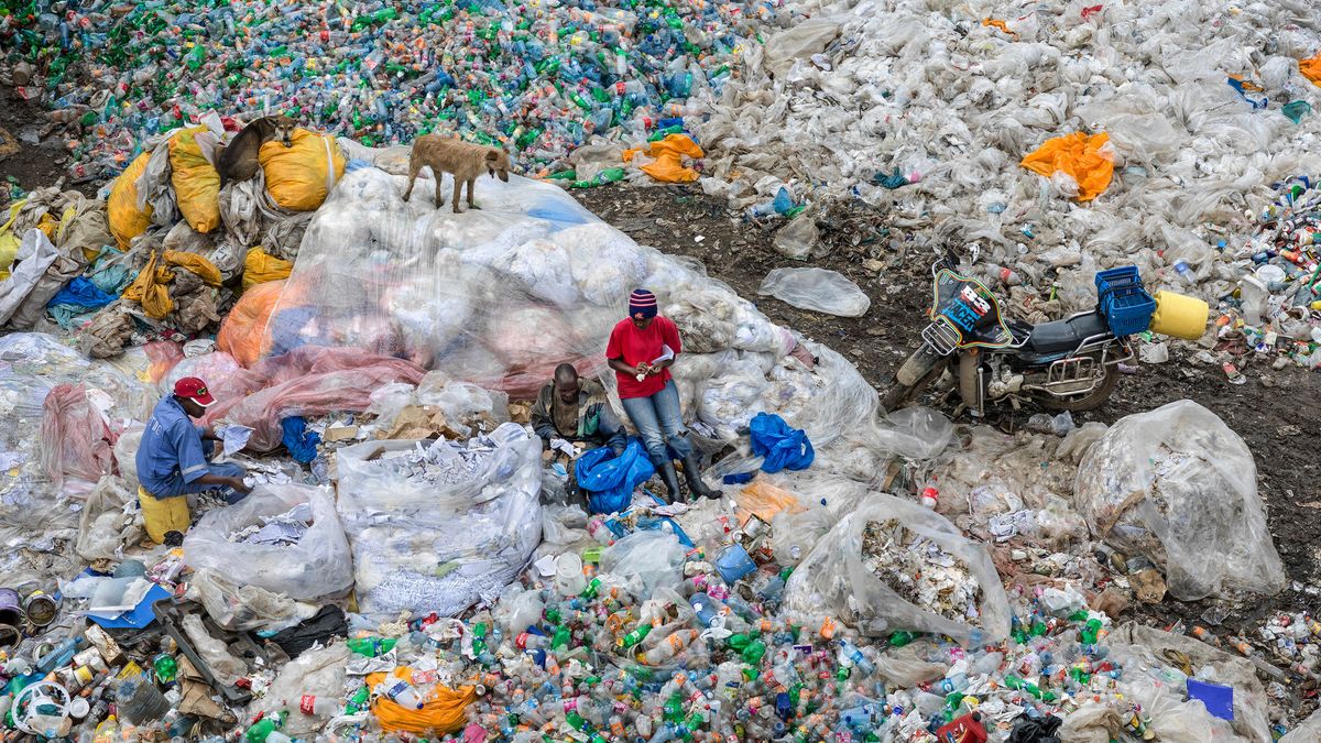 17 películas para concienciar sobre el cuidado del ambiente se exhiben en el festival ECOador
