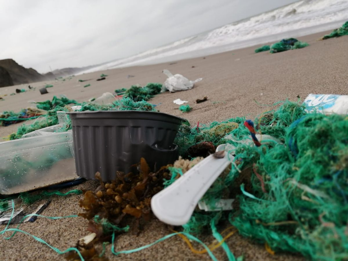 Jornada de limpieza de playas en Ecuador