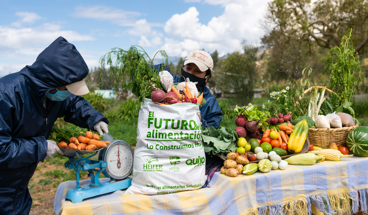 El Futuro de la Alimentación es el programa emblemático de Heifer Ecuador