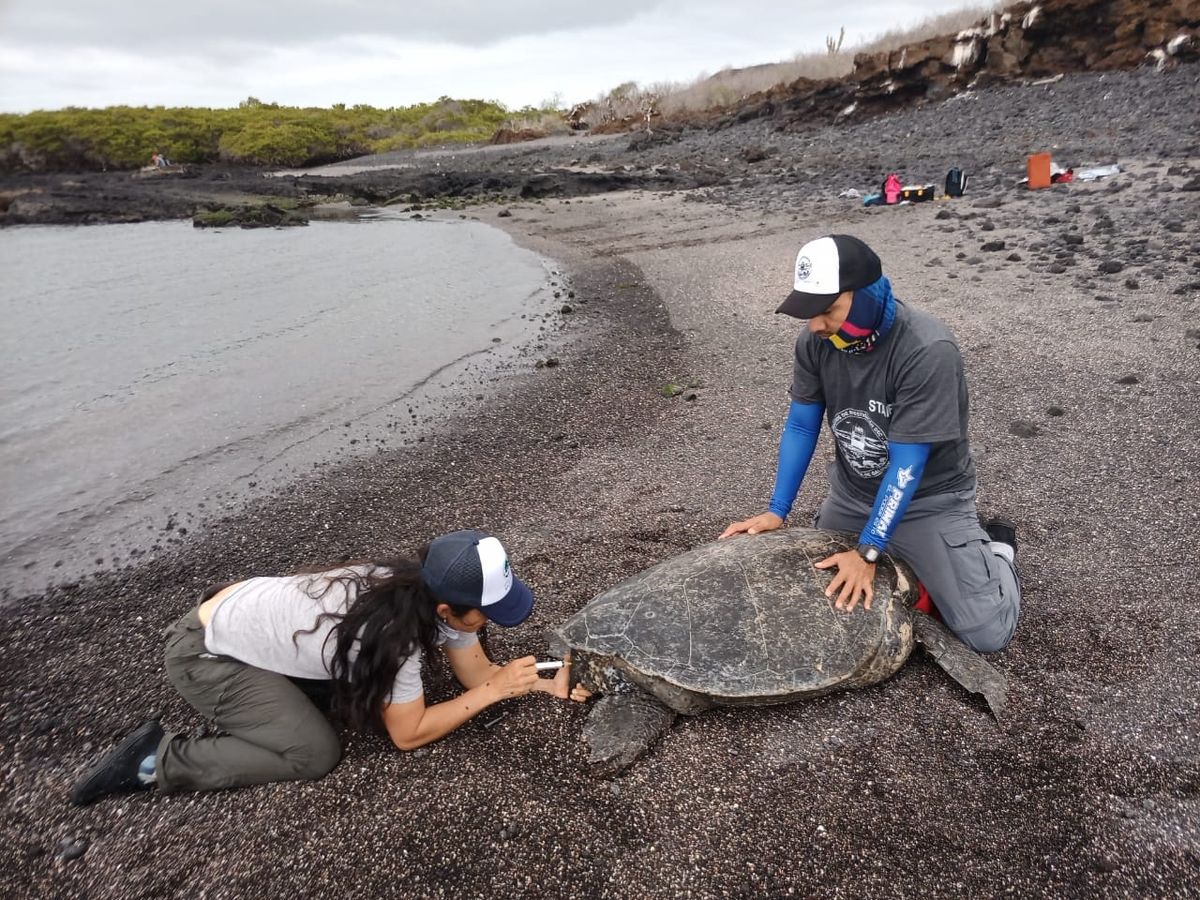 Entre el 11 y 26 de noviembre del 2022, un grupo de técnicos recorrió 14 islas. Foto: cortesía DPNG