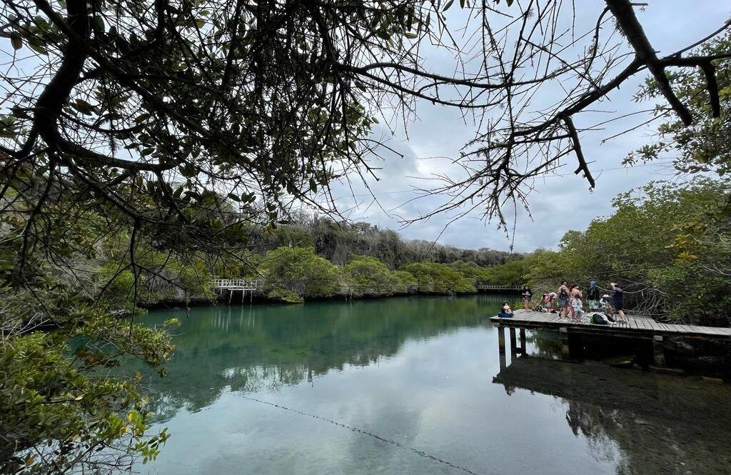 Laguna de las Ninfas, Isla Santa Cruz