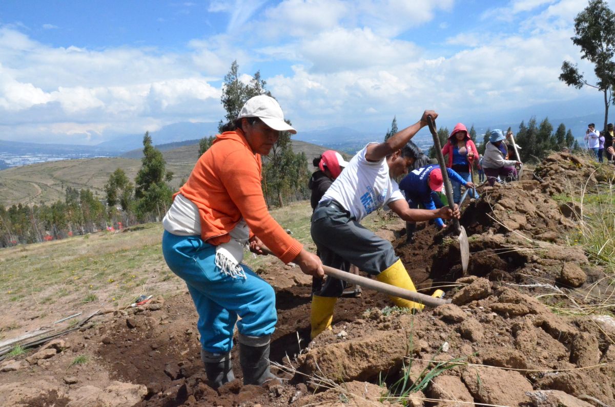 Minga para desarrollar un canal de riego