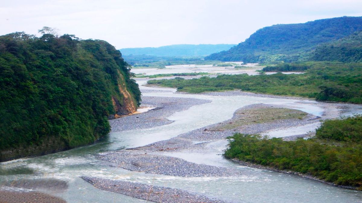 Pastaza fue una de las provincias que más invirtió en proyectos orientados a mitigar el cambio climático