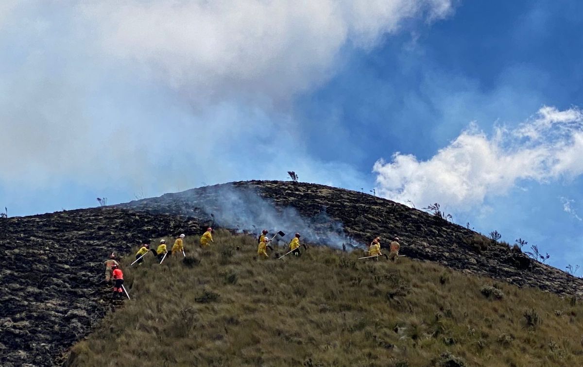 INCENDIOS FORESTALES 7