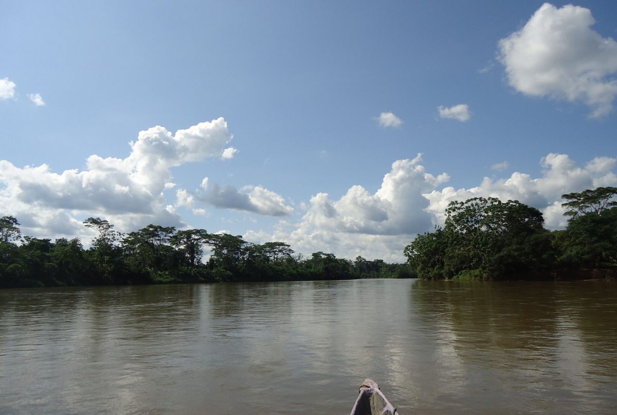 Parque Nacional Yasuní