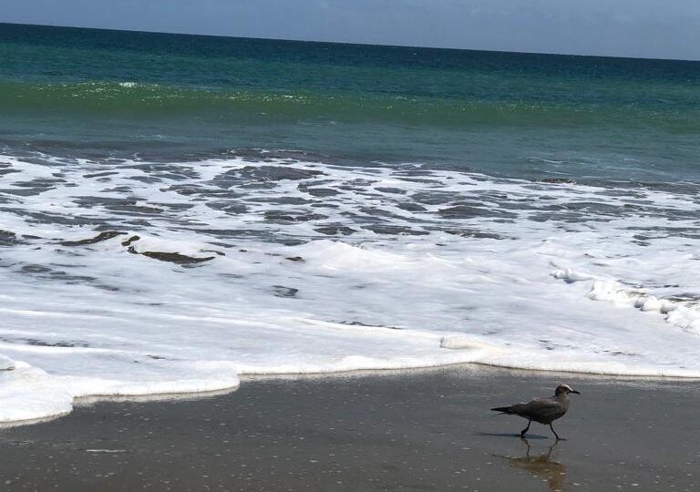 Playa de Santa Marianita, provincia de Manabí