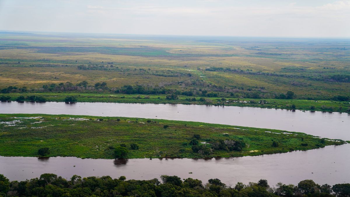 Brasil lidera la propuesta de ampliar el debate de la Ley Antideforestación