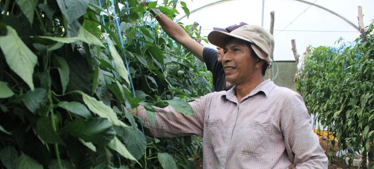 AGRICULTURA GALÁPAGOS 14