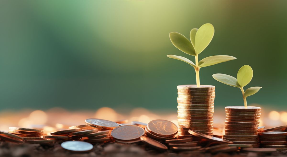 the growth of plants is represented by stacks of coins, in the style of light green and light brown, unusual cropping --ar 29
